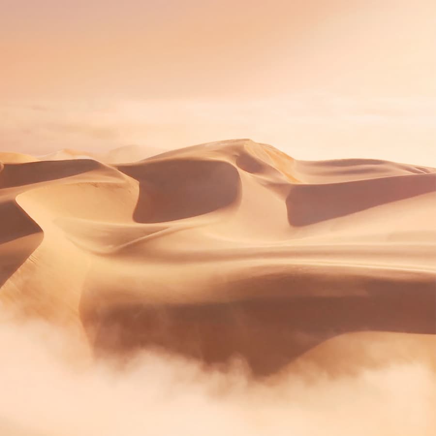 Blushing Sands Eau de Parfum
