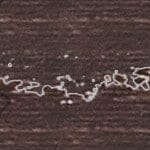 02 - Walnut
