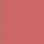 11 Beige Bloom