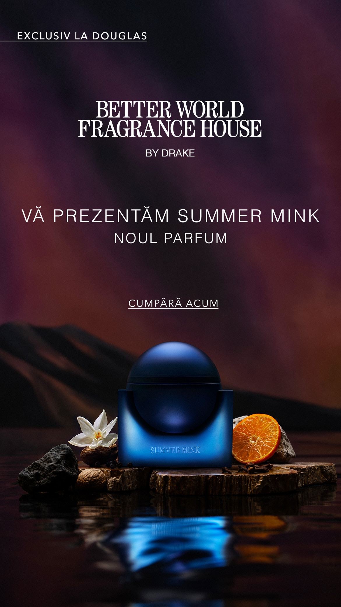 Glisor de imagine implicit pentru cms