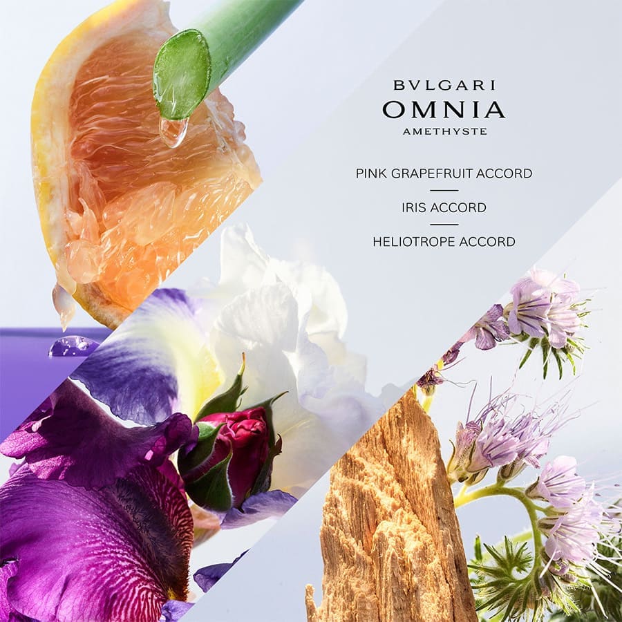 Omnia Amethyste Eau de Toilette