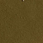 90M Olive