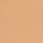 Tan 22 (Warm)