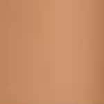 Warm Beige
