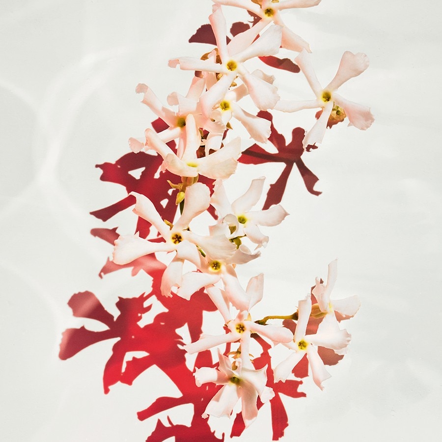 Alive Parfum