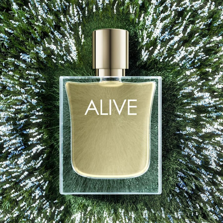 Alive Lavender