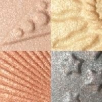 229 - BOUTONS STELLAIRE