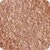 352C - Nudecomer