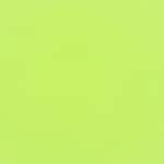 19 - Kiwi Freezie - Jelly Lime