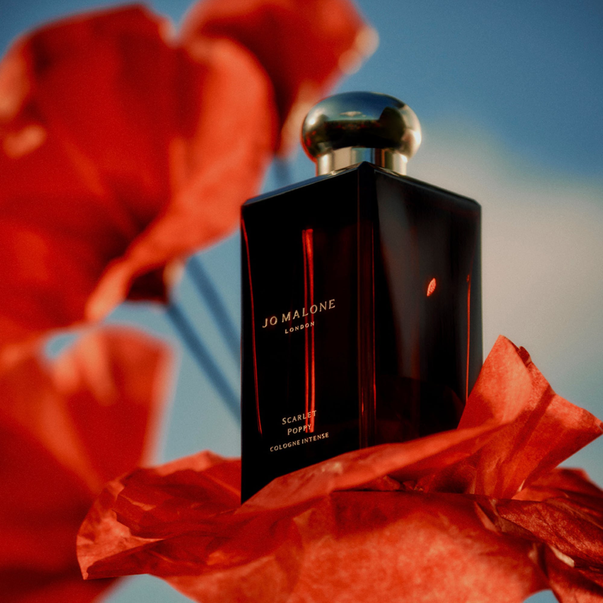 Scarlet Poppy Cologne Intense