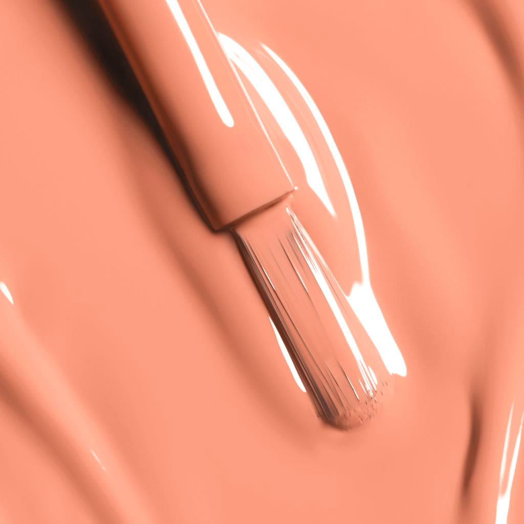 LE VERNIS