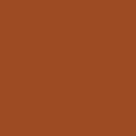 Sunkissed Bronze 