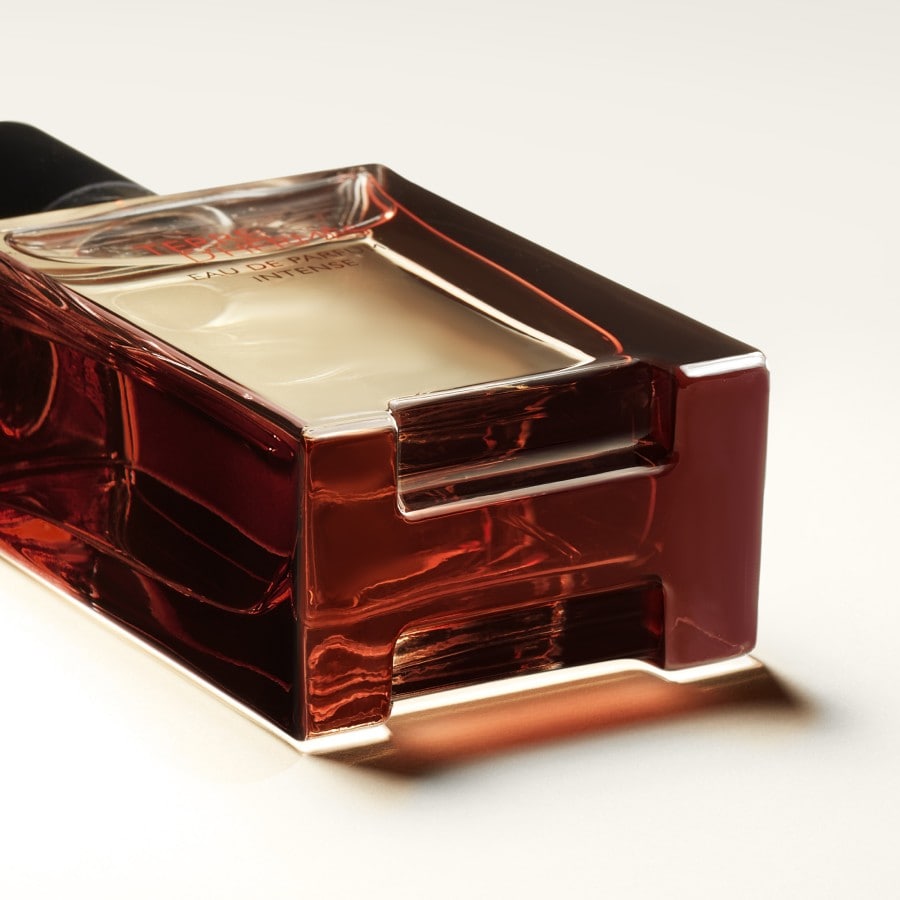 Terre d'Herm?s - Eau de Parfum Intense