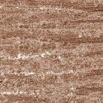01 - Glitzy Brown