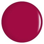 023 - Rose Jam 