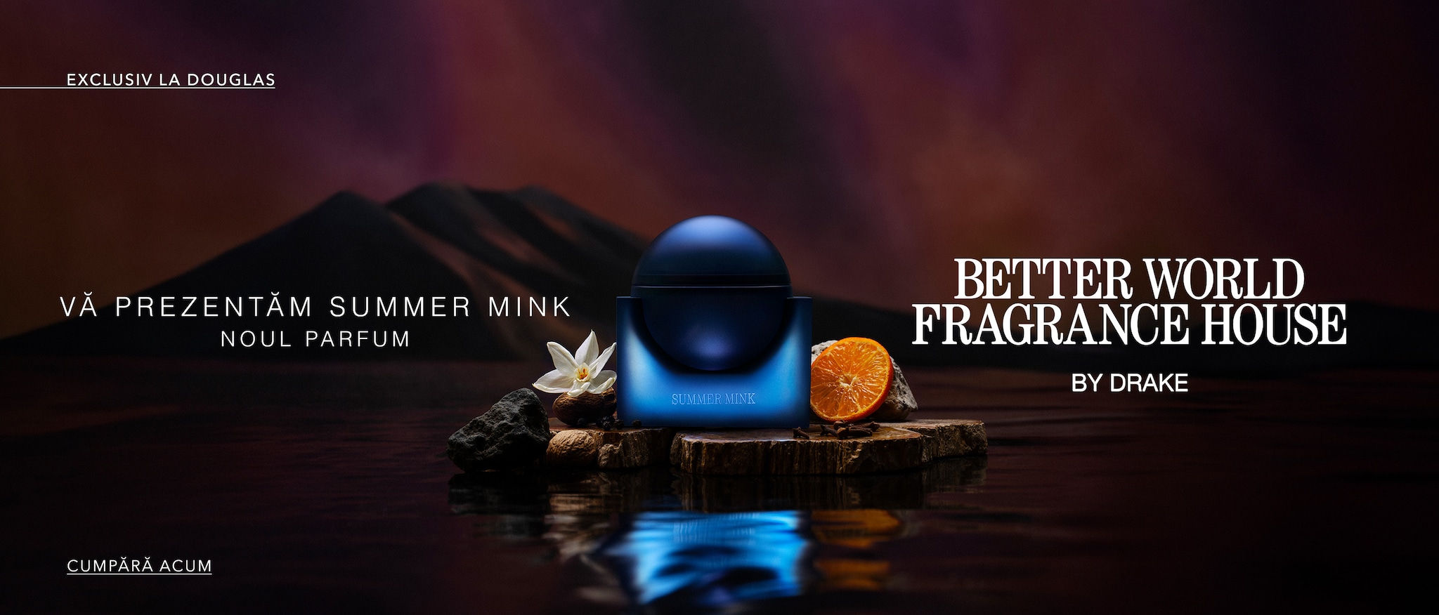 Glisor de imagine implicit pentru cms