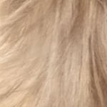 111 - Blond super des cenu