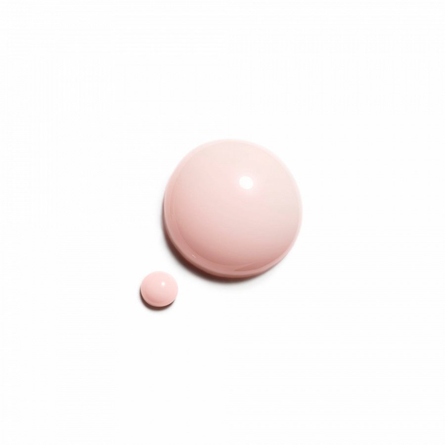 LE VERNIS