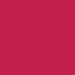 16 - Raspberry