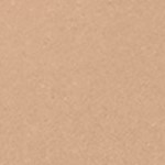 Light Neutral 2
