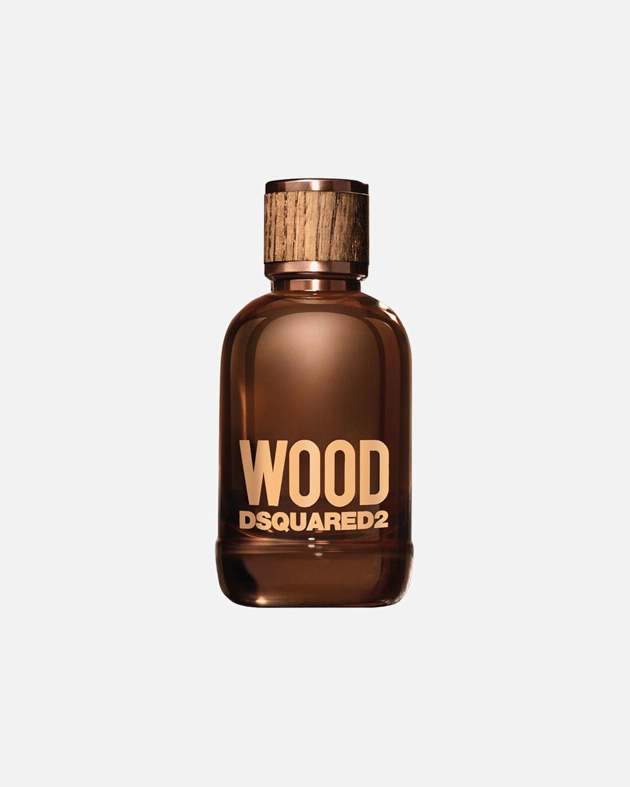 Apa de Toaleta pentru Bărbați Dsquared2 Pour Homme 100 ml