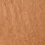 3 - BRONZE DAWN
