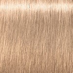 12-2 - BLOND SPECIAL CENUȘIU
