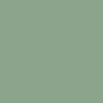 535 - EVER GREEN