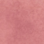 03 - WITHOUT