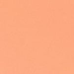 BISQUE NEUTRAL 260 - null