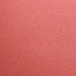 430 - FOSCHIA ROSA