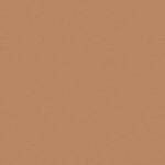 7.5 Shell Beige