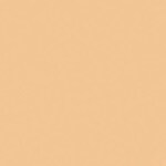 202 Soft Beige