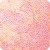 Lovely Pink