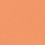 BISQUE WARM 320 - null