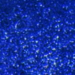 Deep Sea