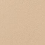 01 - Beige Albatre