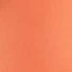Apricot Sorbet