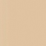1.1 Warm Sand
