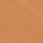 04 - Tan