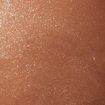 Bronze Bombshell/ Light Neutral Bronze