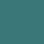 50 S - Petrol
