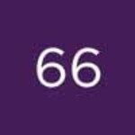 66
