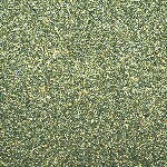 16 - Forest Green