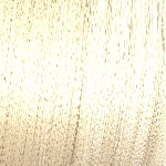 09/3 - GOLDEN HONEY