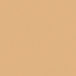 203 Natural Beige