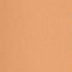 14 True Beige
