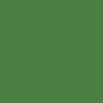 14 Electric Emerald
