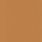 8.7 Golden Almond