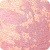 Seductive Pink